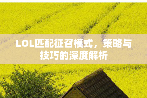 策略与技巧的深度解析图片