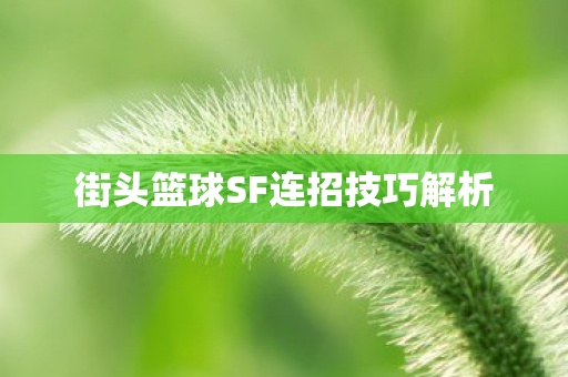 街头篮球SF连招技巧解析图片