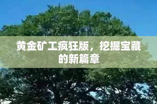 挖掘宝藏的新篇章图片