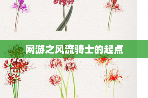 网游之风流骑士的起点图片