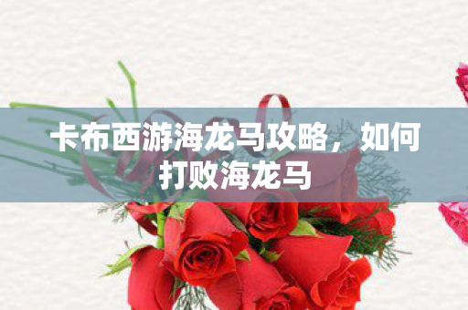 卡布西游海龙马攻略图片