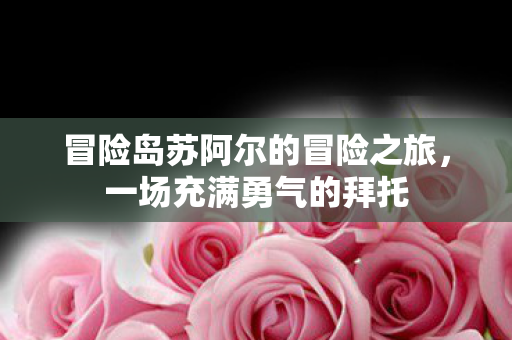 冒险岛苏阿尔的冒险之旅图片