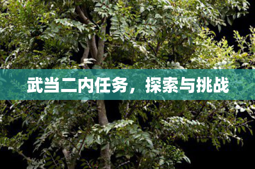 武当二内任务图片