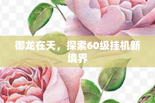 探索60级挂机新境界图片