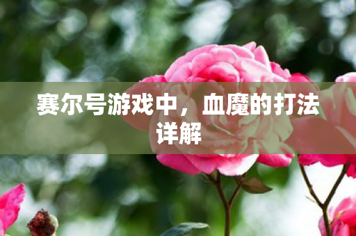 血魔的打法详解图片