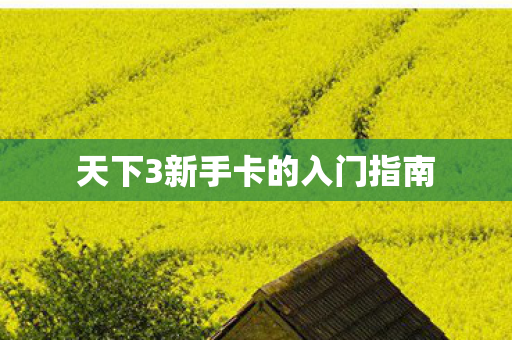 天下3新手卡的入门指南图片