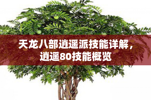 天龙八部逍遥派技能详解图片