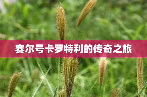 赛尔号卡罗特利的传奇之旅图片