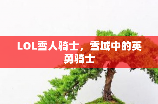 雪域中的英勇骑士图片