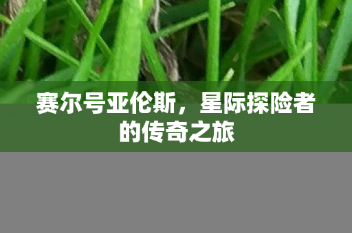 星际探险者的传奇之旅图片