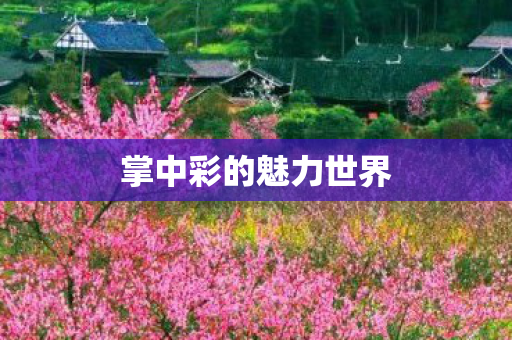 掌中彩的魅力世界图片