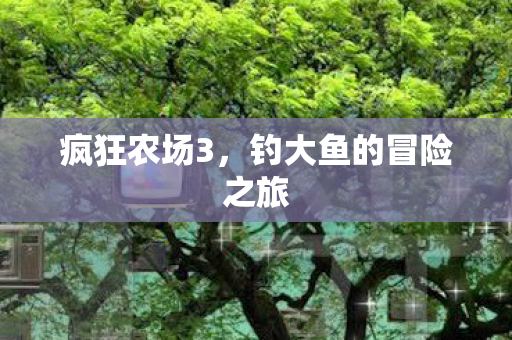 钓大鱼的冒险之旅图片