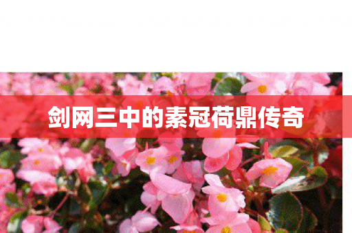 剑网三中的素冠荷鼎传奇图片