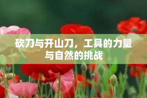 工具的力量与自然的挑战图片