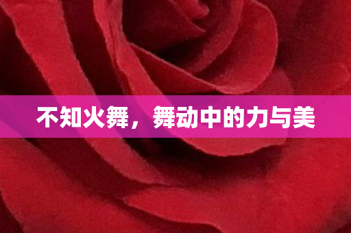 舞动中的力与美图片