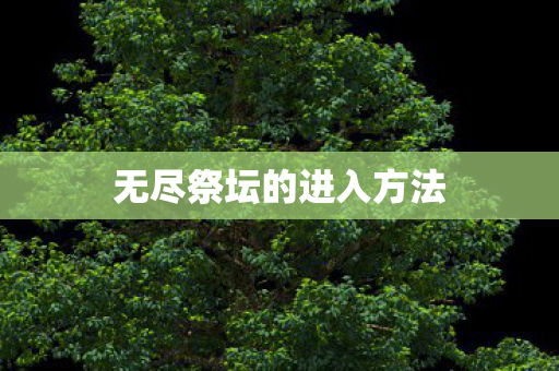 无尽祭坛的进入方法图片