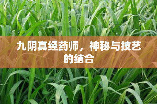 神秘与技艺的结合图片