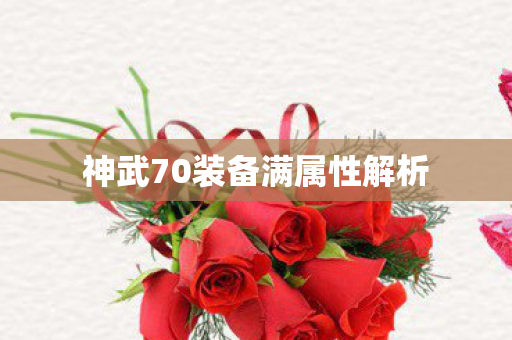 神武70装备满属性解析图片