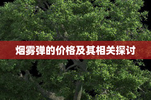 烟雾弹的价格及其相关探讨图片