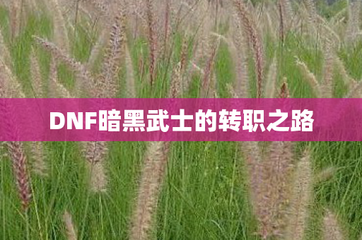DNF暗黑武士的转职之路图片