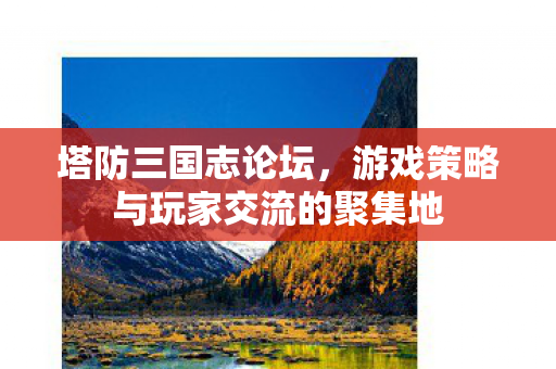 游戏策略与玩家交流的聚集地图片