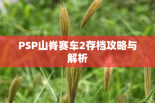 PSP山脊赛车2存档攻略与解析图片