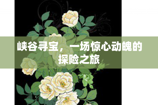 一场惊心动魄的探险之旅图片