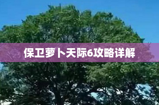 保卫萝卜天际6攻略详解图片