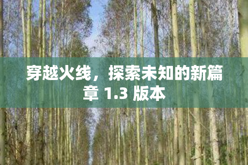 探索未知的新篇章 1图片
