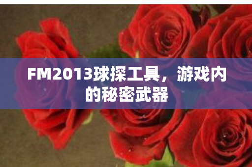 FM2013球探工具图片