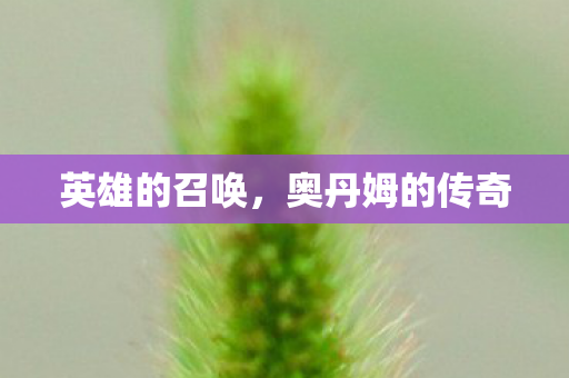 奥丹姆的传奇图片