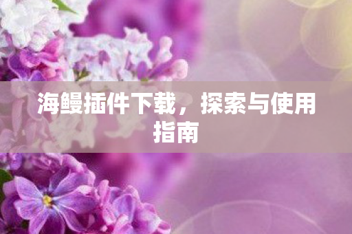 探索与使用指南图片