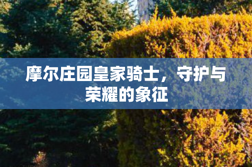 摩尔庄园皇家骑士图片
