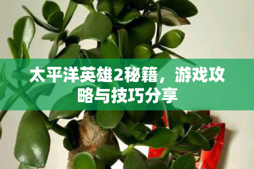 游戏攻略与技巧分享图片