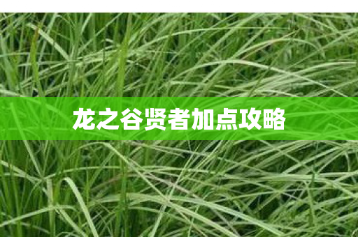 龙之谷贤者加点攻略图片