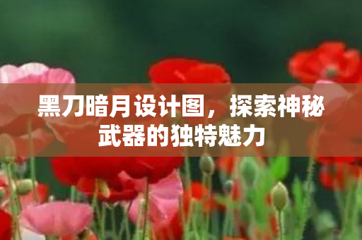 探索神秘武器的独特魅力图片