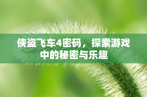 探索游戏中的秘密与乐趣图片