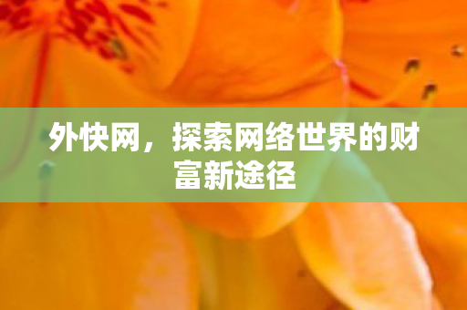 探索网络世界的财富新途径图片