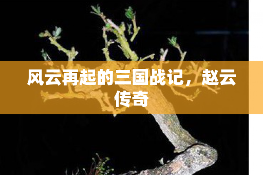风云再起的三国战记图片