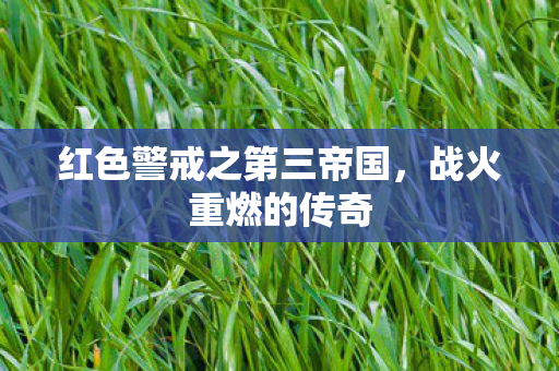 红色警戒之第三帝国图片