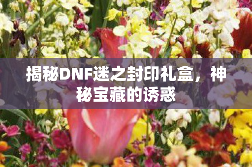 揭秘DNF迷之封印礼盒图片