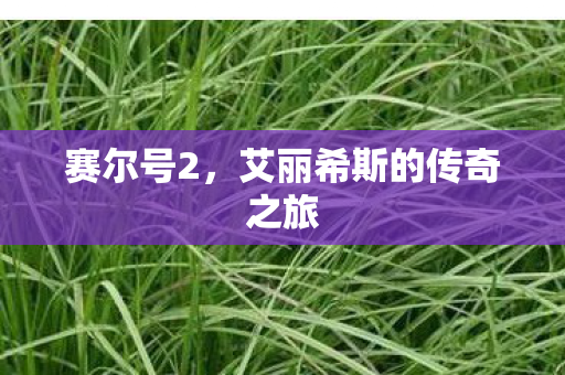 艾丽希斯的传奇之旅图片