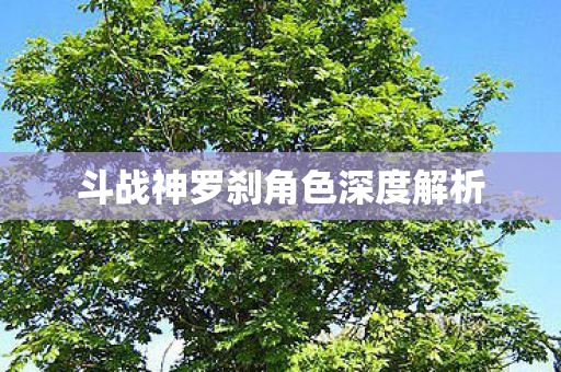 斗战神罗刹角色深度解析图片