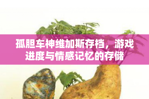 游戏进度与情感记忆的存储图片