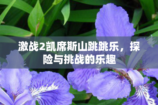 激战2凯席斯山跳跳乐图片
