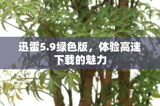 体验高速下载的魅力图片
