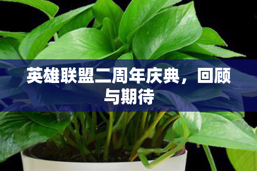 英雄联盟二周年庆典图片