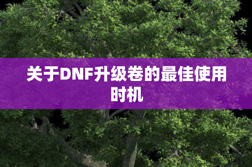 关于DNF升级卷的最佳使用时机图片
