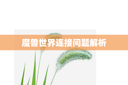 魔兽世界连接问题解析图片