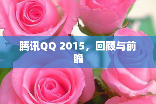 腾讯QQ 2015图片